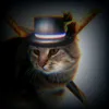 dabuddydacat