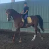 blancaxhorses