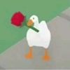 allison_star64