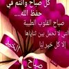 user3016744816570