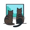 the.two.torties