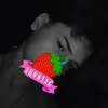 lucer19991