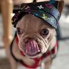 peanut.the.french