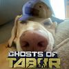 lincolnlog_on_tabor