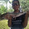 mieangler8