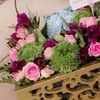 .basma_alaziz
