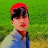 aalim4090