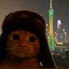 man_chik_777