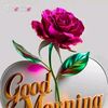 muhammad.irfan78600