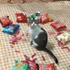 hoangduy_dzcogisai