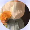 zi_a297