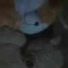 sutarini86