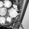 flwrsaamel_62