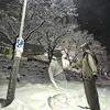 hng75346