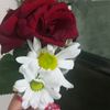 user9333787879502