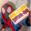 spidergwen290