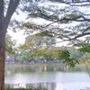 syangku1_2
