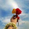 abir.ahamed237