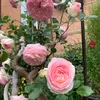 valentyna.cavazza