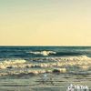 rawda8375