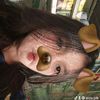 alda.plk
