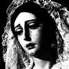 saintessaurelia