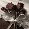 _xcgt