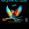 user831050323074