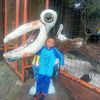 ilham.saputra9947