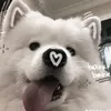 blongquancamdz