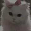 z_jh8s