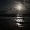quotesreal_x