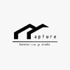 Capture designs