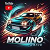 molinodrive