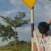 yot_cai