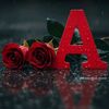 user578094600