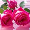 aashqi06