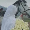 rafaf806
