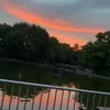 nonsense656