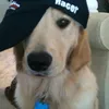 qwiitep
