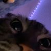 username._12332