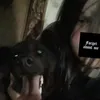 hihihdhwjwj77
