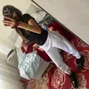 assy.hachim