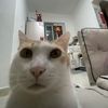 kittylisy1