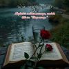 amira.amirsisi.no