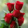 usersf09dphan3