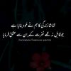 zameer.ahmed932
