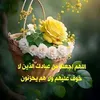 user79274738201247
