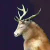tiktokfans2015