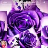 user57505987226276